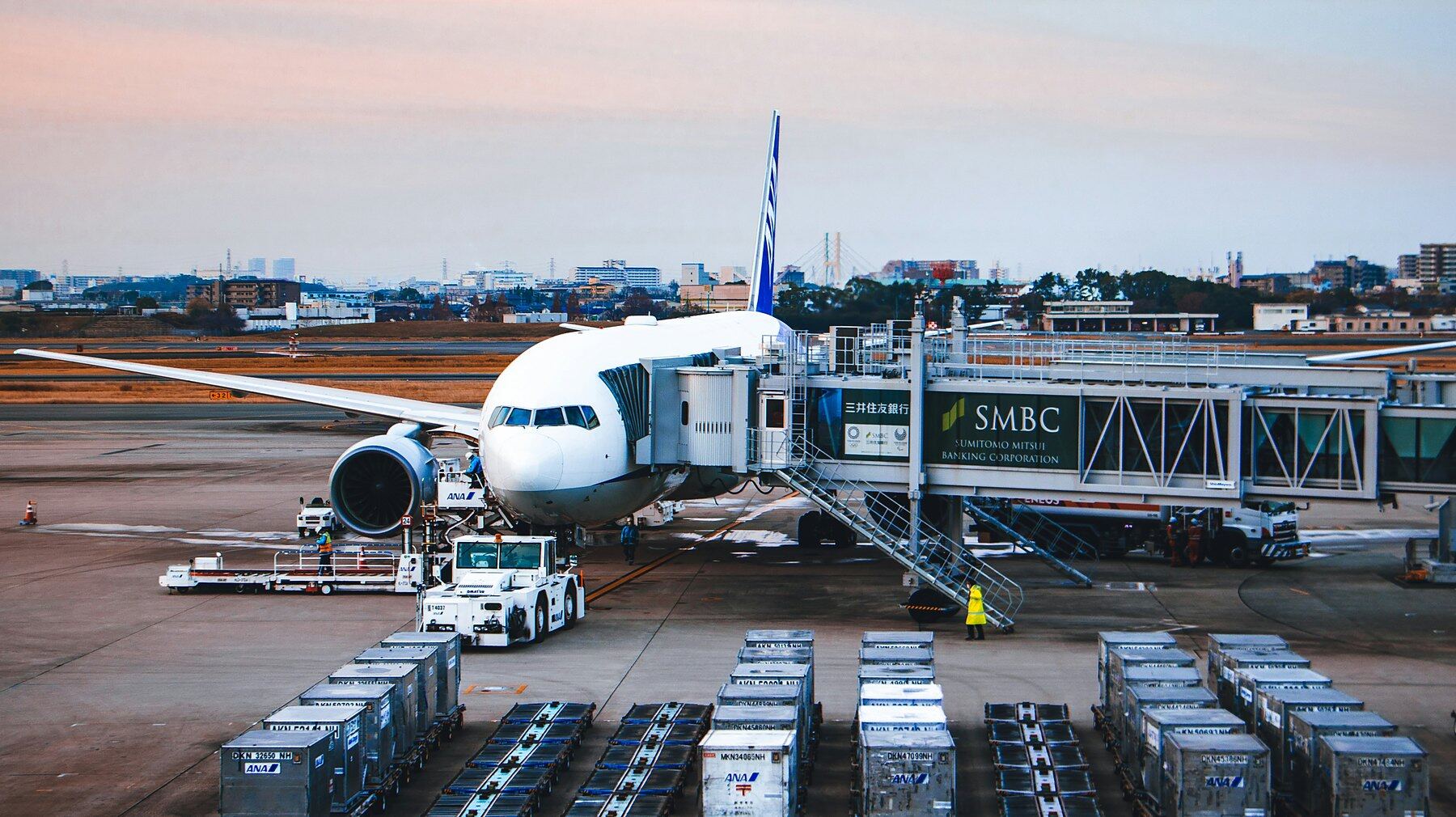 Air cargo containers lined up on the apron beside a wide-body aircraft at dawn