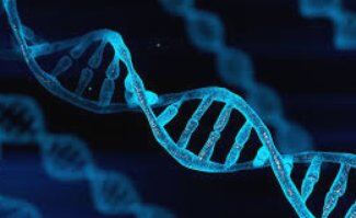 DNA double helix